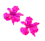 Load image into Gallery viewer, Oversized Flower Blossom Earrings
